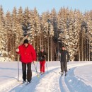 Běžkařské tratě ve Slavkovském lese – Ski Březová