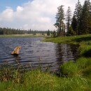 Ponds at Kladska